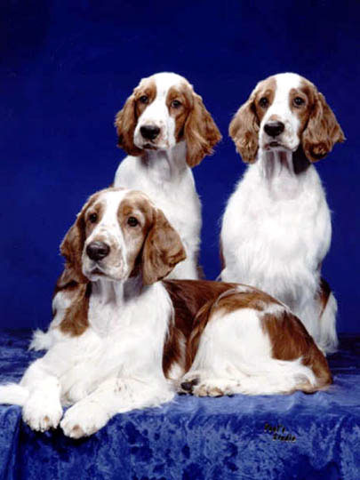 Thomas, Kirby & Schooner